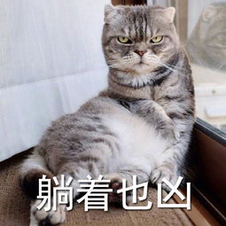 发表情表情包大全微信表情包qq表情包fabiaoqing.com