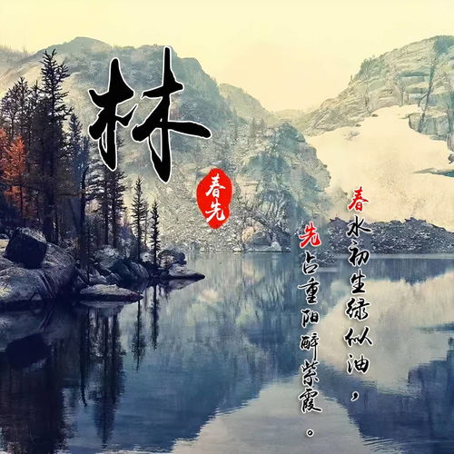 你的微信头像该换新了,50张个性励志特效签名头像,亲查收