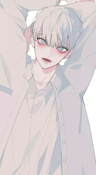 求这个画师的p站id