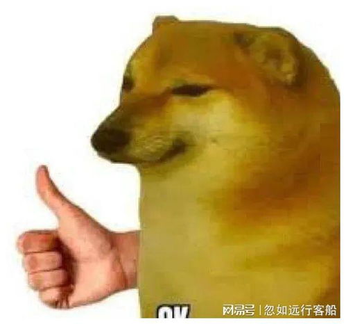 搞笑聊天表情包i你不要逼我