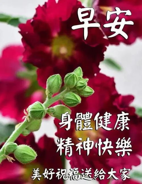 早上好表情包搞笑问候