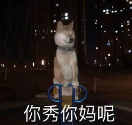 每日表情丨小哥哥上车吗