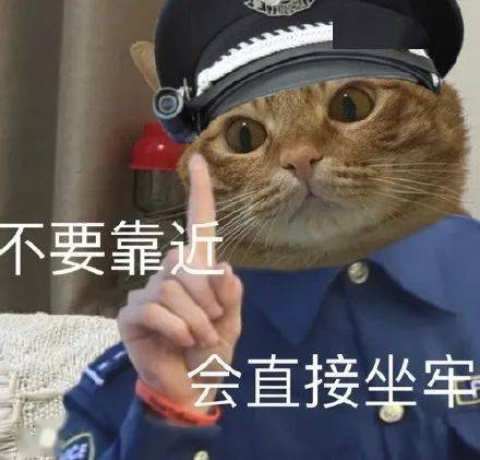 不要靠近,会直接坐牢丨第150期喵表情