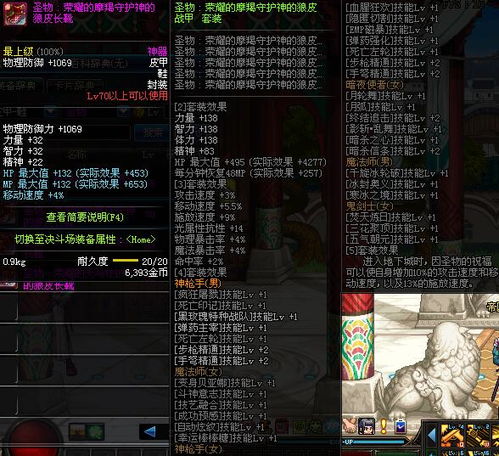 表情dnf皮甲鞋dnf装备词典表情