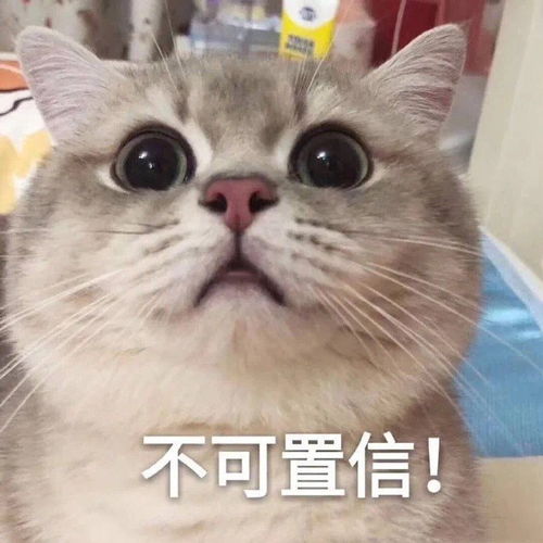 沙雕文案表情包合辑