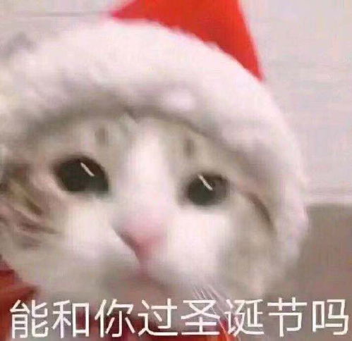 会员福利丨圣诞提前乐,还能看龙猫