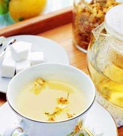 ol的养生14杯茶铿锵玫瑰缓解亚健康从药饮开始