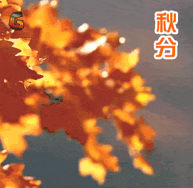 秋分了天凉祝福动态微信表情包