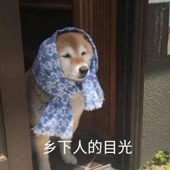 关于公用洗衣机能不能洗袜子内衣鞋的问题