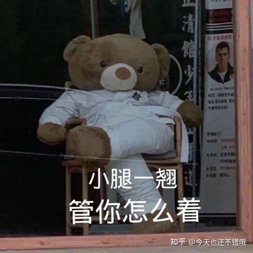 腿姐陆寓丰的技巧课和冲刺课哪个必须听