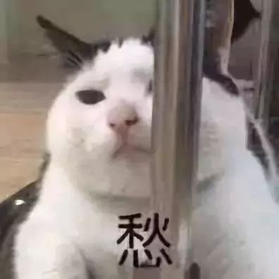 塔糖你还记得吗