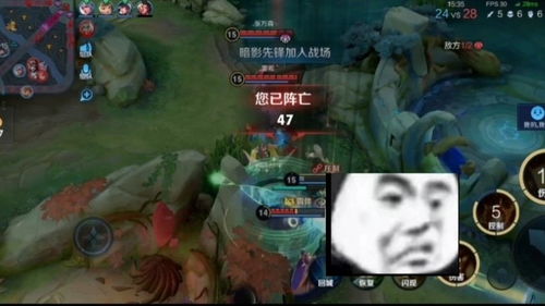 王者荣耀搞笑视频3d熊猫头表情包来啦