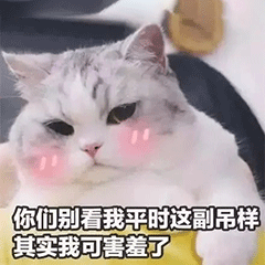 搞笑动态图gif表情包我养你啊