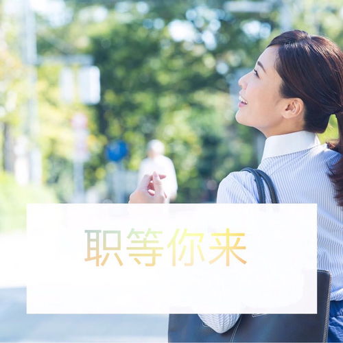 7月部分项目汇总