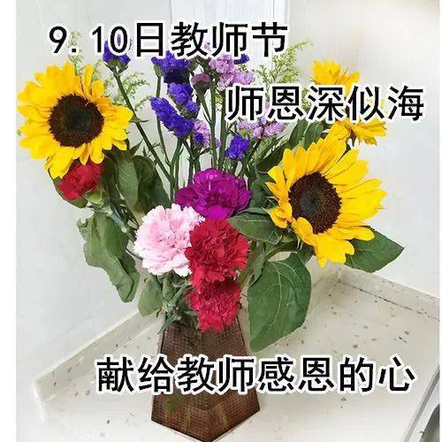 早上好表情包,感恩每一位老师,祝大家教师节快乐