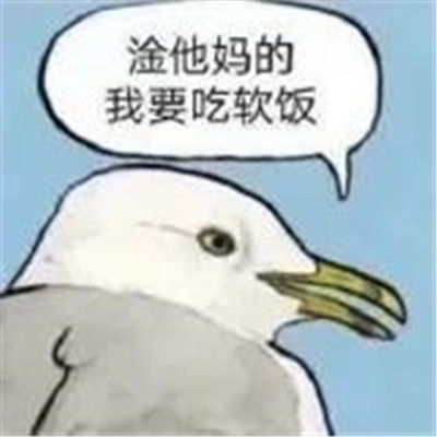 2022沙雕至极的个性聊天表情精选合集这谁顶得住啊搞笑聊天表情