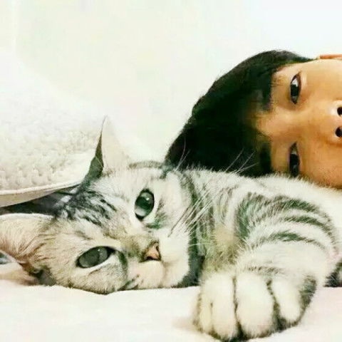 古人云好男不养猫,好女不养狗百岁老人一针见血说出真相