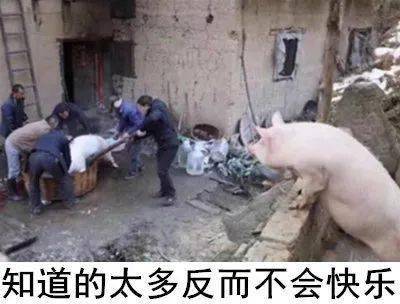 近期收集的沙雕表情包分享斗图专用