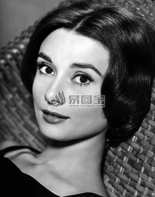 国外美女摄影商用正版图片下载图片id1680141正版图片