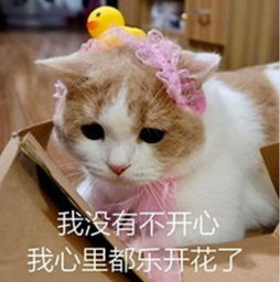 熊猫头说你坏话表情包你喜欢唱跳rap篮球
