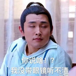 楚乔传宇文怀带字搞笑表情包别说话吻我