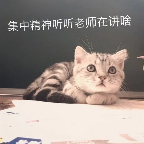搞笑表情包是你上课的真实表现,没跑了