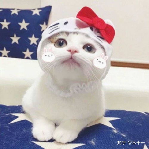 2021年小米系列最值得购买手机推荐七月更新