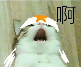 凹凸世界的表情包