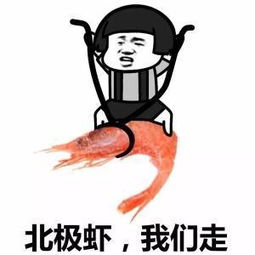 幽默笑话女博士以后在婆婆家能不能不刷碗