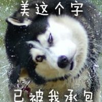 二哈搞笑图片带字表情包女人不要玩火