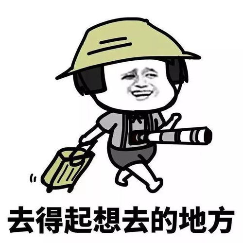 等我有钱了各种炫富表情包,拿走不送
