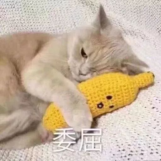 表情包敲搞笑沙雕斗图表情包
