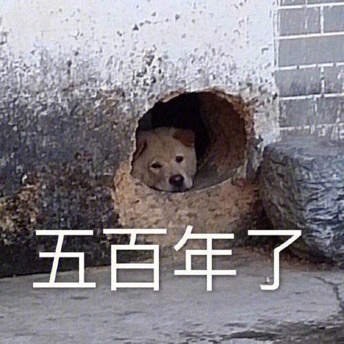 表情包动图搞笑无奈快递