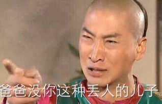 尔康表情包,尔康恶搞表情包,英俊的尔康被玩坏了