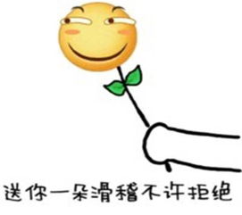 表情包送你一朵滑稽你敢拒绝试试看