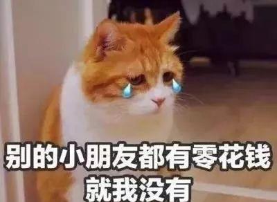 幽默图片搞笑段子大家是怎么问父母要生活费的有啥硬核方法