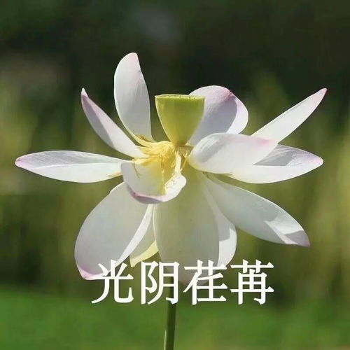我们一起换下头像,谢谢