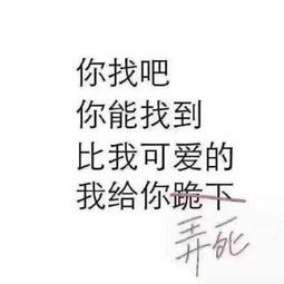 卤摇趾玛丽格调