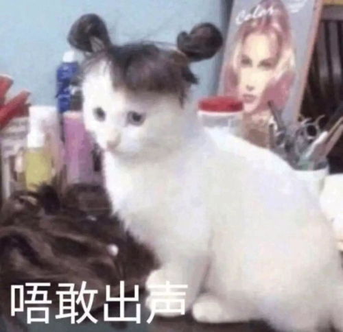 搞笑图片表情包沙雕