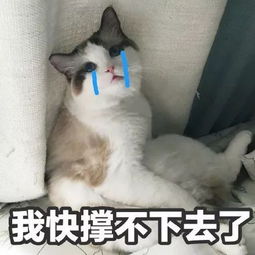 2018年度银行人生存图鉴