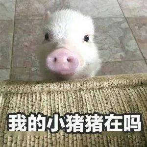 表情包多的同学,人缘总不会太差