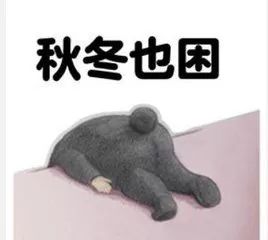 早知道找个女朋友这么难,我就定娃娃亲了