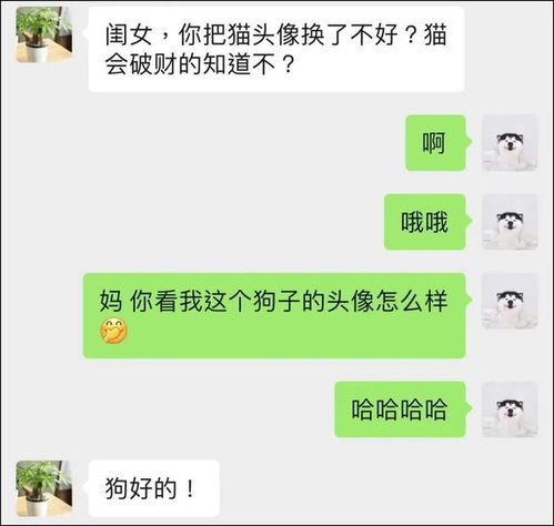 不能用猫做微信头像
