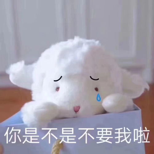 淳朴绵羊表情包小小的眼睛里有大大的疑惑