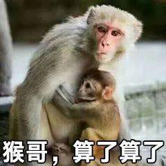 monkey是猴子,business是生意,那么monkeybusiness啥意思