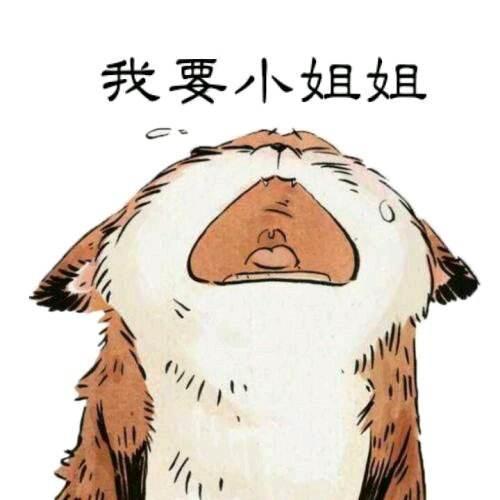 合租只限女生,为何男性已成弱势群体