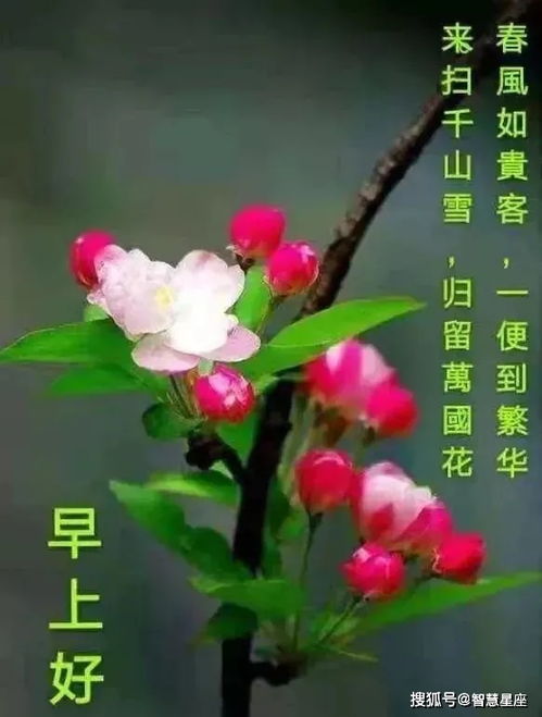6月8日微信朋友群发早上好祝福短信六月份最新的早安问好图片带字带祝福语