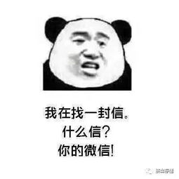 每日一笑土味情话熊猫表情包,表白可以用表情包了哦