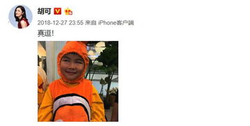 胡可晒儿子痛哭组图称是亲妈独家记忆,小鱼儿崩溃四连哭惹人心碎