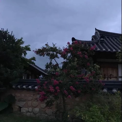 搞笑的表情包文案动态表情